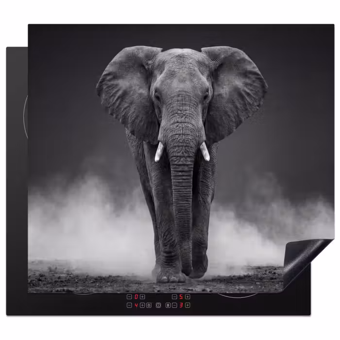 Induction hob cover - Elephant - Black - White - Smoke