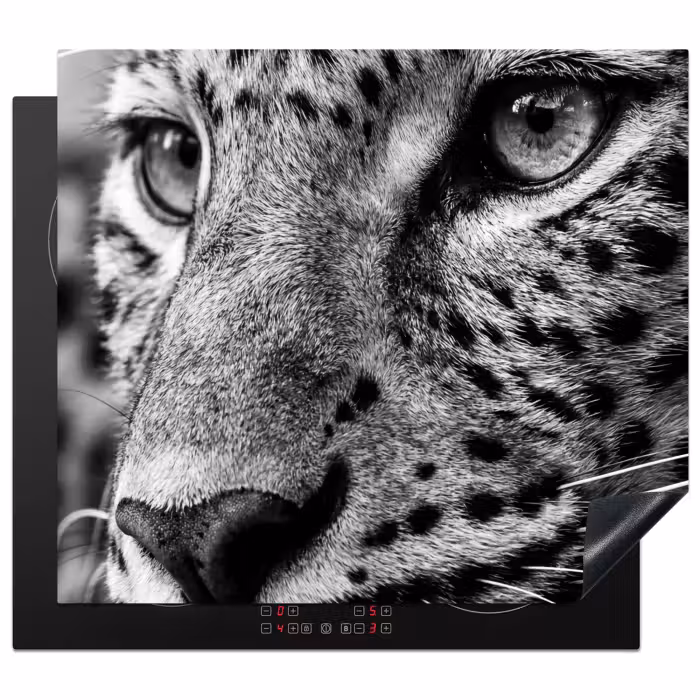 Induction hob cover - Leopard - Black - White - Eye